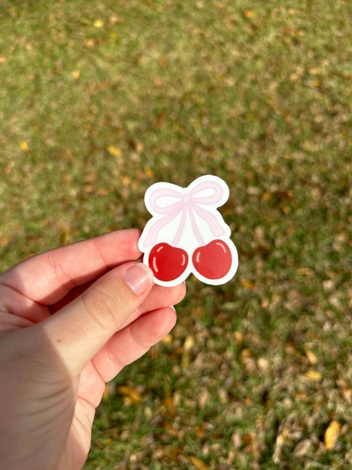 Cherry Bow Sticker